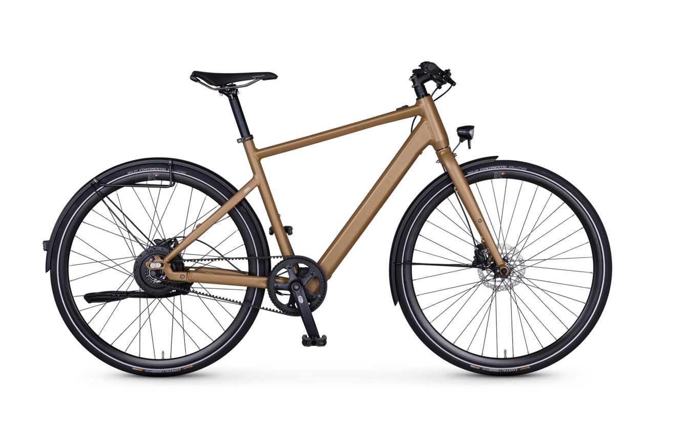 singlespeed pedelec