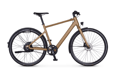 e singlespeed