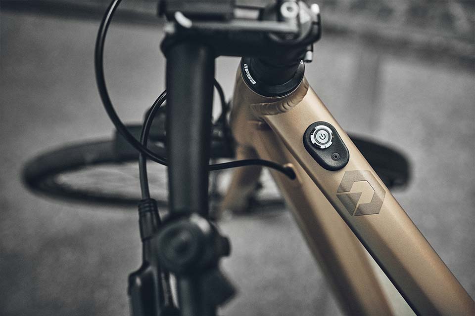 Rabeneick – E-Bikes 2020