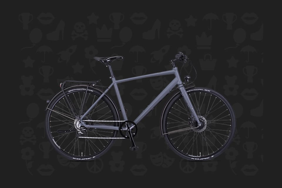 Trekkingbike & Citybikes by Rabeneick